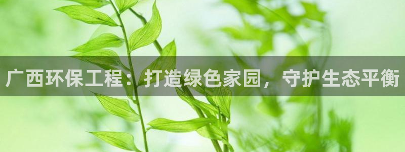 彩名堂手机客户端怎么进不去了：广西环
