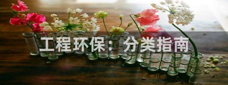 彩名堂手机版官网：工程环保：分类指南