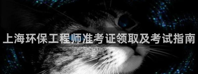 最新彩名堂计划：上海环保工程师准考证