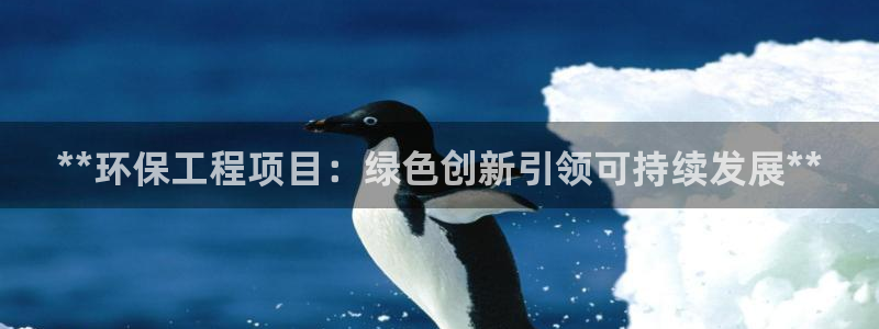 彩名堂计划和01计划怎么很稳：**环保工程项目：绿色创新引领可持续发展**