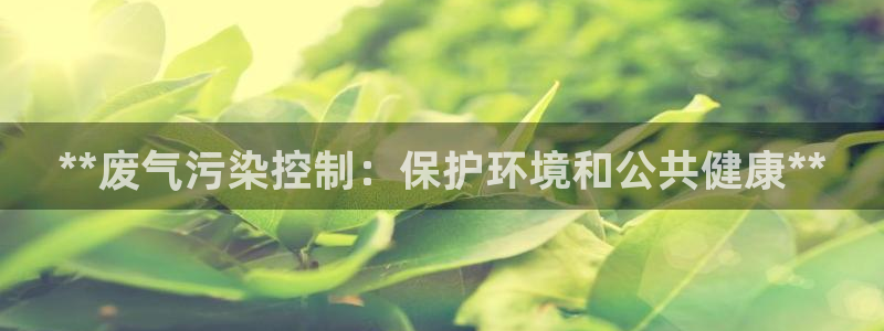 彩名堂最新版www：**废气污染控制