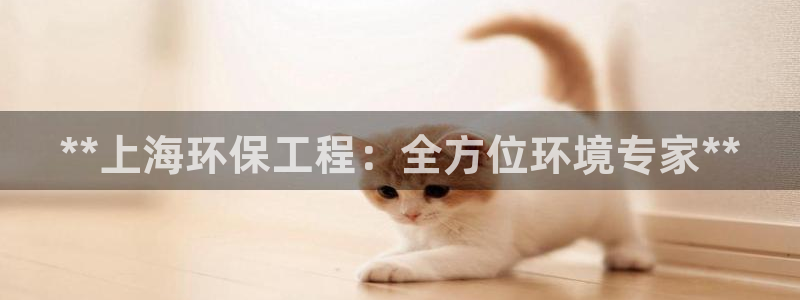彩名堂免费计划官网购彩计划：**上海
