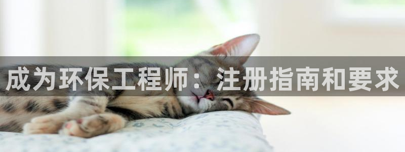 彩名堂为什么打不开：成为环保工程师：