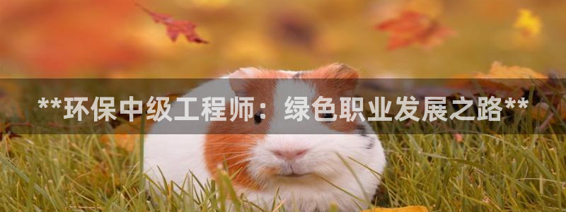 彩名堂双彩网：**环保中级工程师：绿