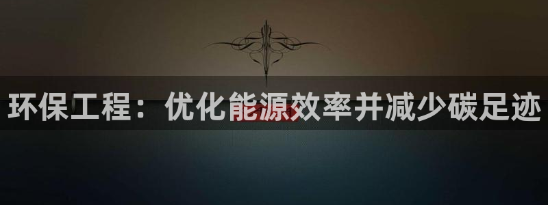 彩名堂苹果客户端：环保工程：优化能源效率并减少碳足迹