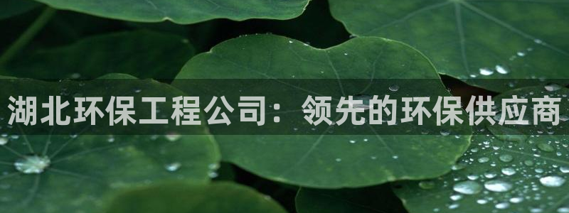 彩名堂免费计划官网老版本：湖北环保工