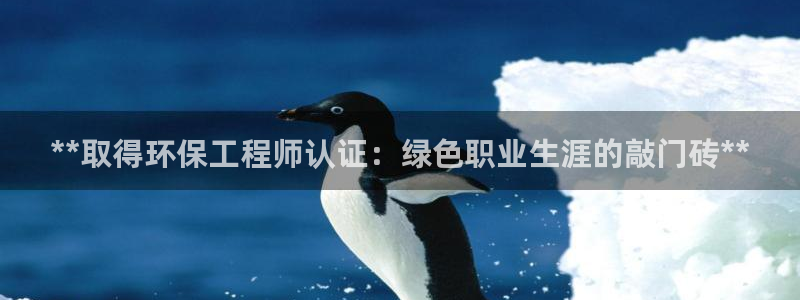 彩名堂官网2：**取得环保工程师认证