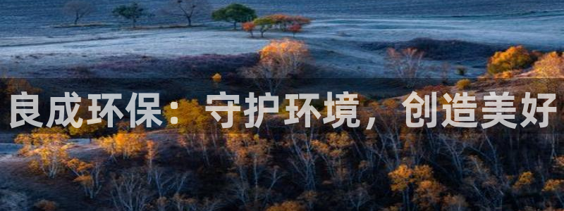 彩名堂免费计划使用方法是什么：良成环