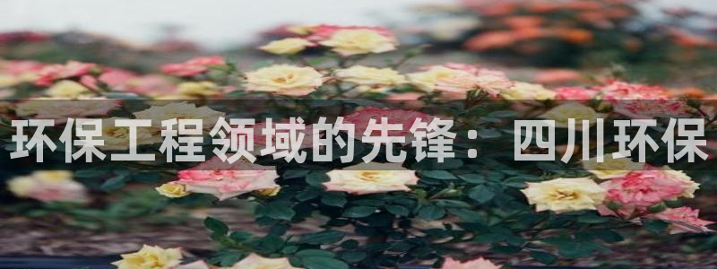 彩名堂计划怎么跟不挂：环保工程领域的
