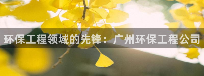 彩名堂最新版www：环保工程领域的先