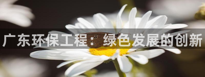 为什么彩名堂今天不能用：广东环保工程