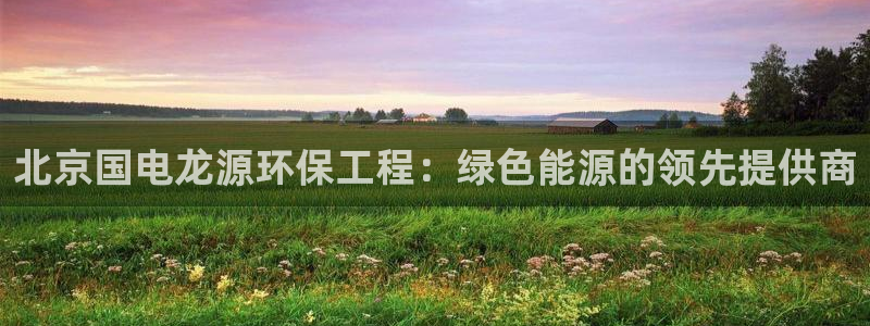 彩名堂免费计划软件下载：北京国电龙源