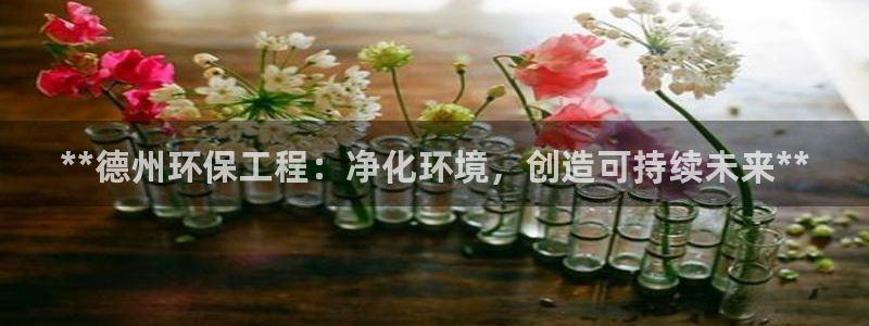 彩名堂4.3：**德州环保工程：净化