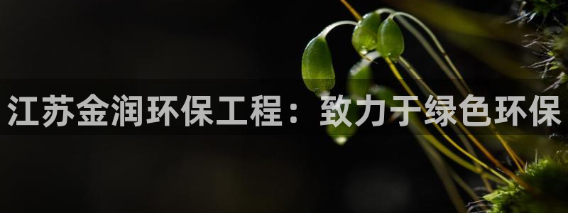 彩名堂计划真的准吗：江苏金润环保工程