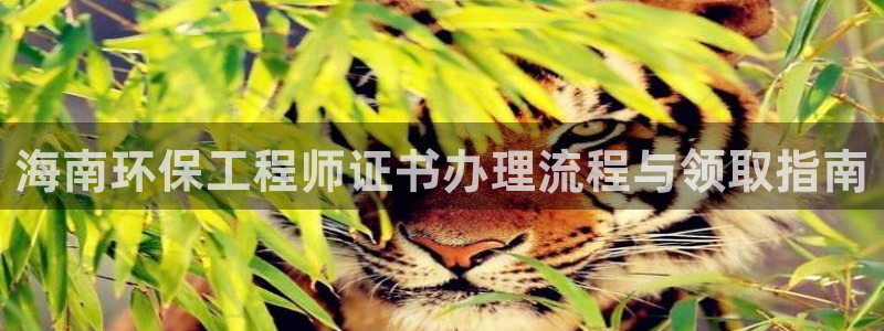 彩名堂最新计划app下载：海南环保工