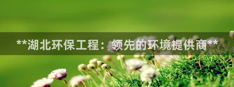 彩名堂排三：**湖北环保工程：领先的