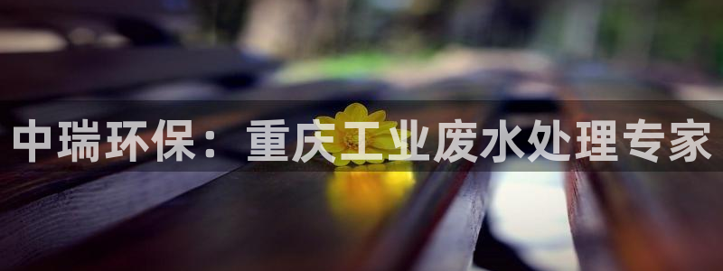 彩名堂APP下载：中瑞环保：重庆工业废水处理专家