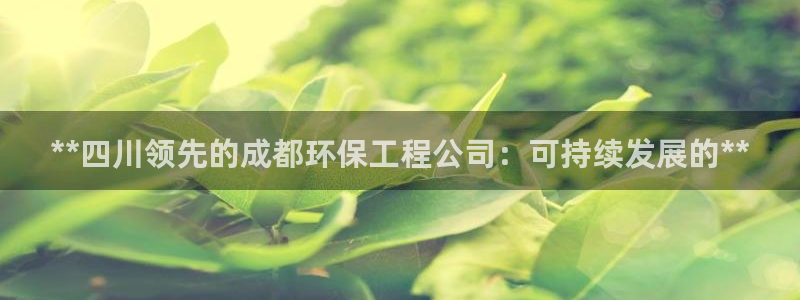 彩名堂官网计划：**四川领先的成都环