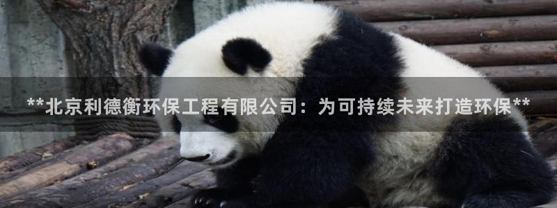 彩名堂app官方下载：**北京利德衡环保工程有限公司：为可持续未来打造环保**