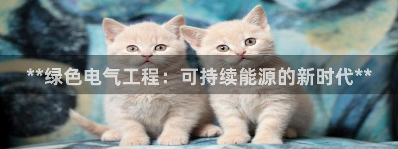 彩名堂计划怎么出的：**绿色电气工程