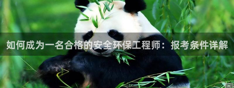 彩名堂全天计划：如何成为一名合格的安
