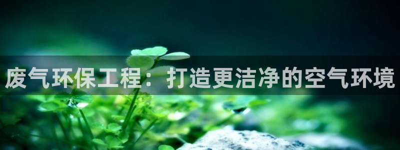 彩名堂为啥又不能用了：废气环保工程：打造更洁净的空气环境