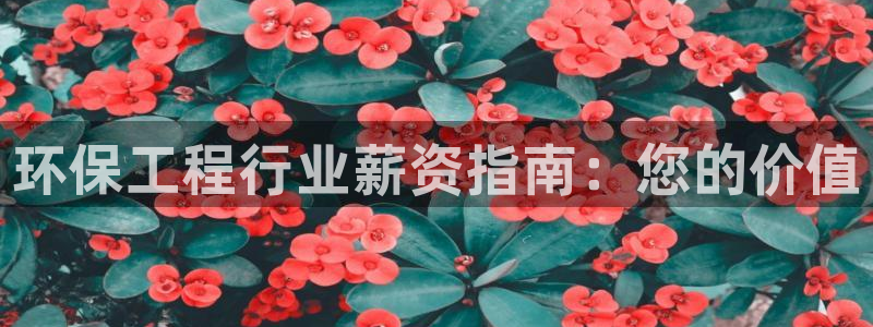 彩名堂怎么跟计划才不连挂在一起：环保工程行业薪资指南：您的价值