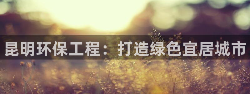 彩名堂免费计划官网怎么进不去了呀：昆