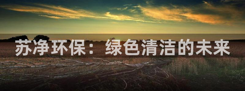 下载彩名堂预测计划软件：苏净环保：绿