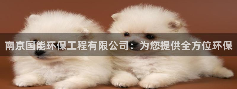 彩名堂改名稻草人了吗是真的吗：南京国能环保工程有限公司：为您提供全方位环保