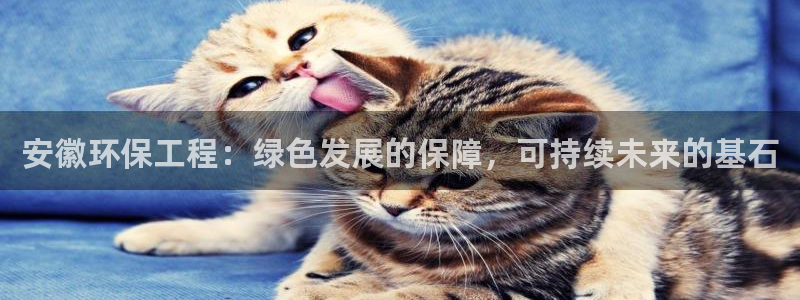 彩名堂安卓客户端官网下载：安徽环保工