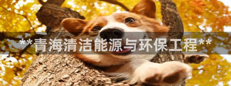 彩名堂计划和01计划怎么很稳：**青