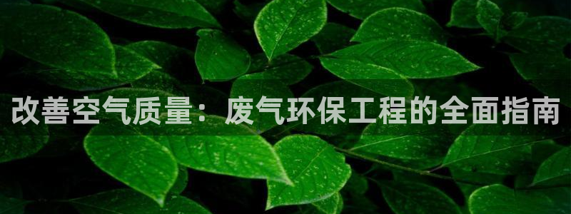 彩名堂免费计划官网怎么进不去了呢：改善空气质量：废气环保工程的全面指南