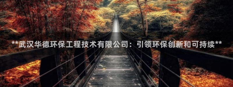彩名堂手机客户端怎么下载：**武汉华德环保工程技术有限公司：引领环保创新和可持续**