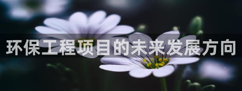 彩名堂人工预测免费计划：环保工程项目