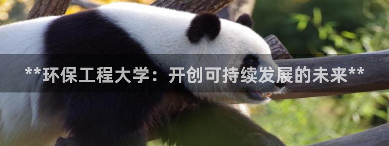 彩名堂官方软件下载：**环保工程大学
