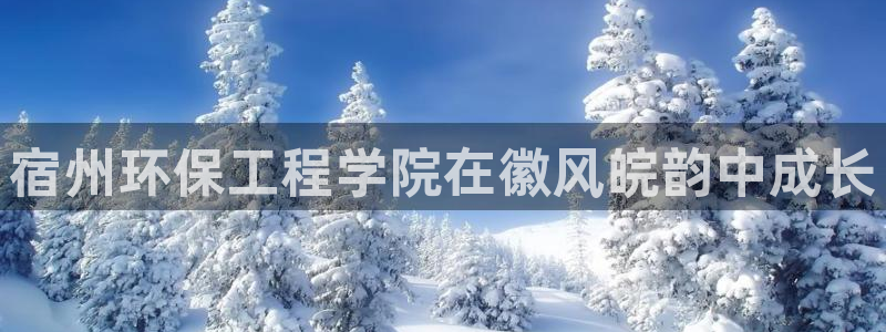 彩名堂官网在线计划怎么不更新了：宿州