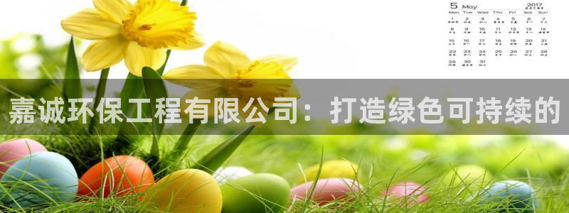 彩名堂预测：嘉诚环保工程有限公司：打