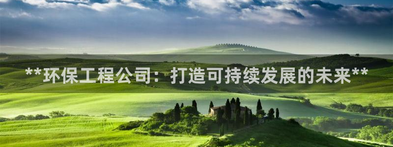 彩名堂4.3：**环保工程公司：打造