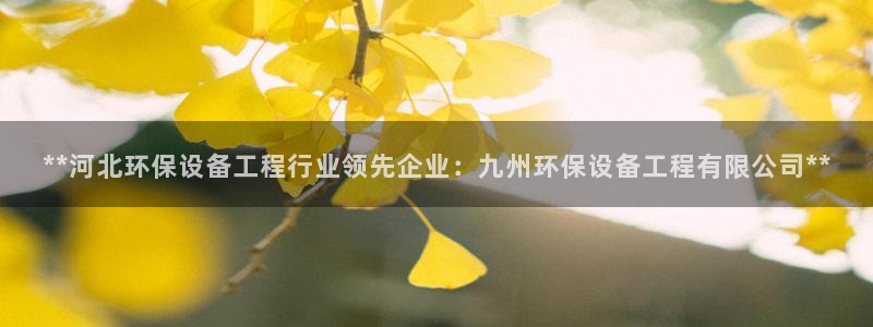彩名堂计划软件下载：**河北环保设备