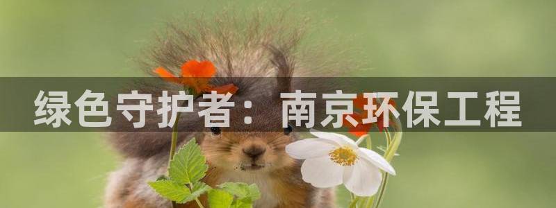 彩名堂免费计划官网5 0：绿色守护者