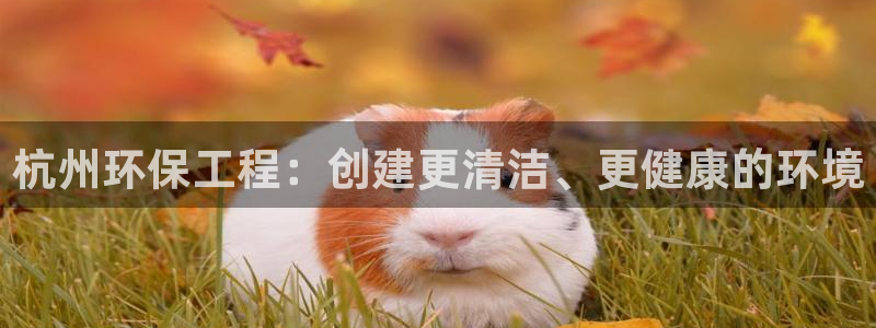 彩名堂双彩网：杭州环保工程：创建更清洁、更健康的环境