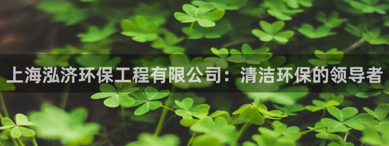 彩名堂上推荐的几个平台怎样：上海泓济
