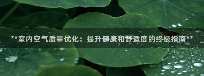 彩名堂975新版本：**室内空气质量