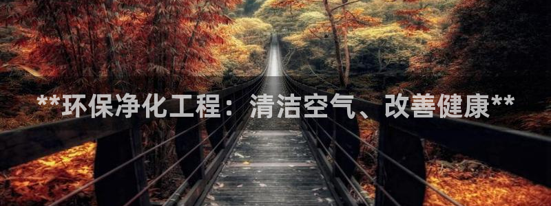 彩名堂是正规的公司吗：**环保净化工程：清洁空气、改善健康**