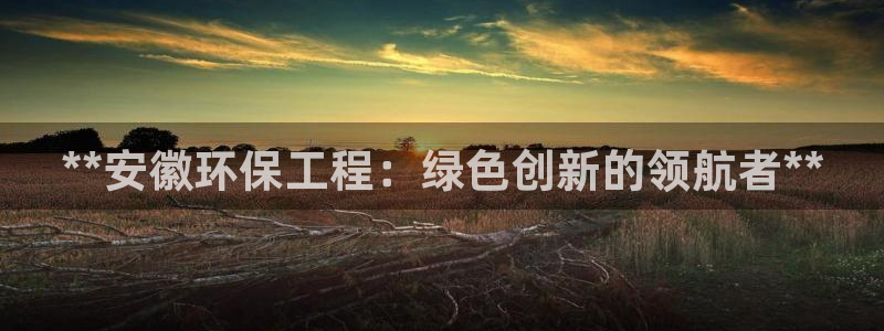 最新彩名堂计划：**安徽环保工程：绿