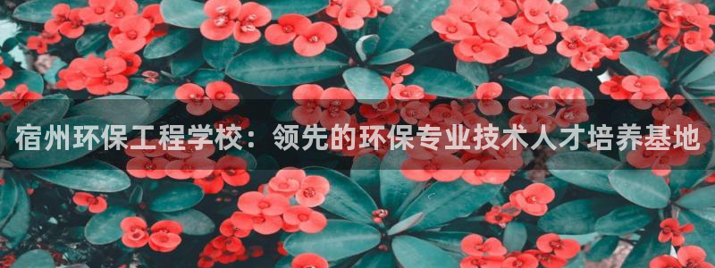 彩名堂改成什么名字了：宿州环保工程学