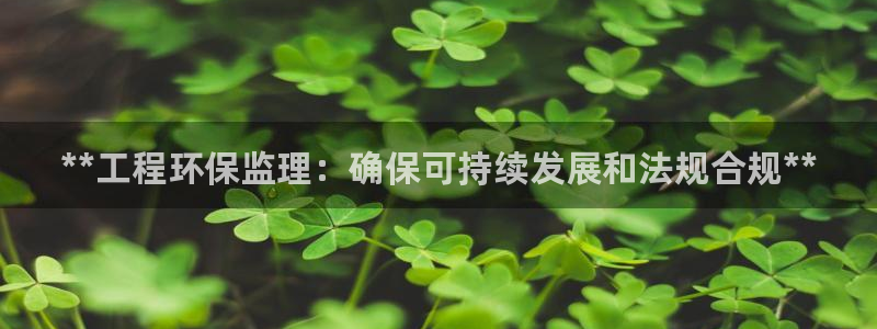 彩名堂幸运飞船计划：**工程环保监理
