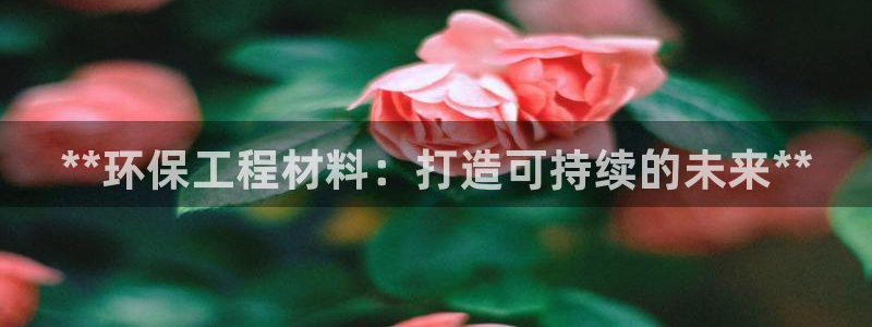 彩名堂双彩网：**环保工程材料：打造可持续的未来**