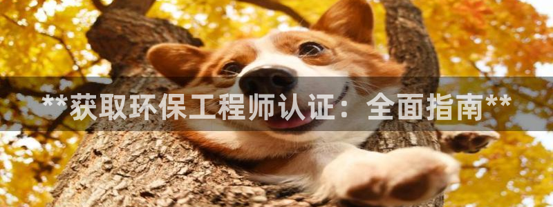 彩名堂人工计划客户端官网：**获取环